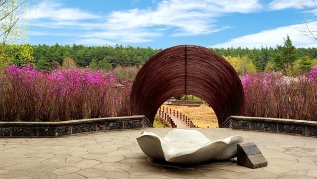 湖邊花開(kāi)