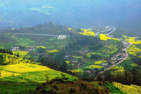 新農村