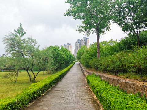 園林景觀小道
