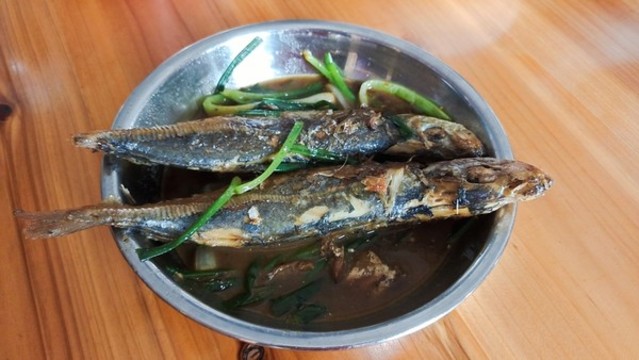 魚