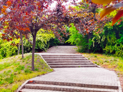 公園景觀小道