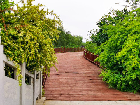 公園景觀小道
