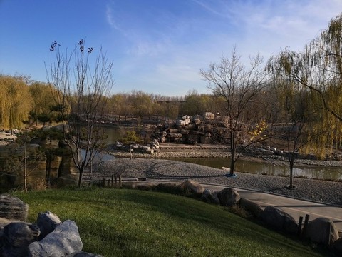 公園湖泊草地