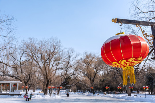 雪后中國(guó)遼寧沈陽北陵公園