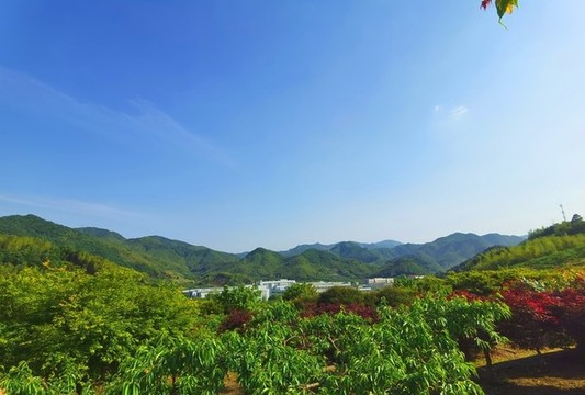 山林