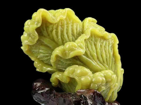 玉白菜
