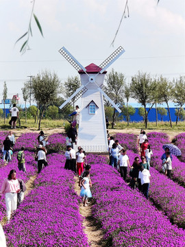 花海旅游