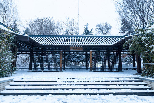 公園
