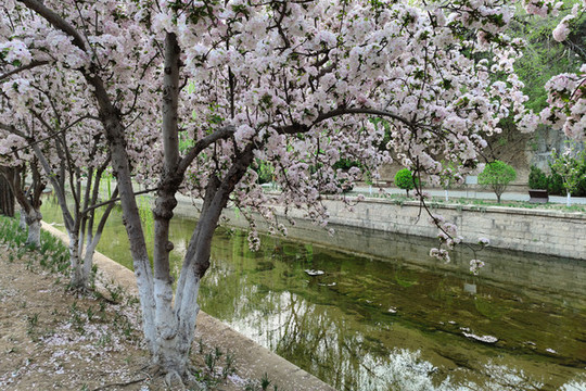 北京元大都城垣遺址公園