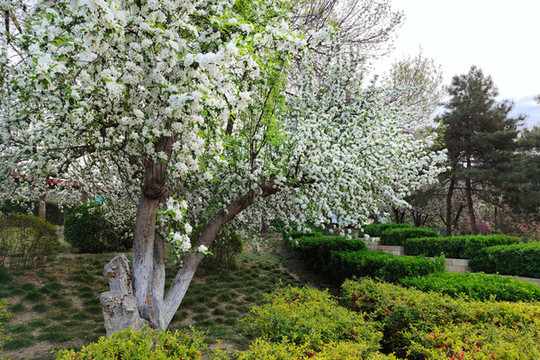 北京元大都城垣遺址公園