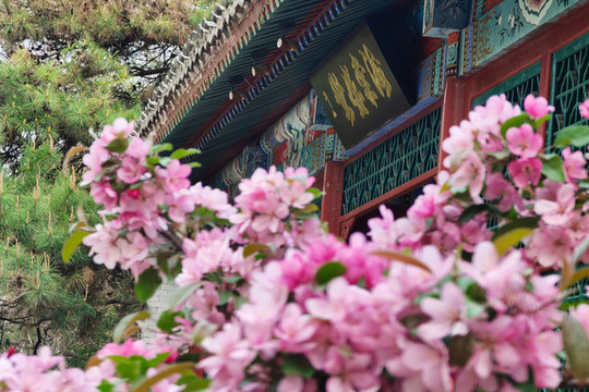 北京元大都城垣遺址公園