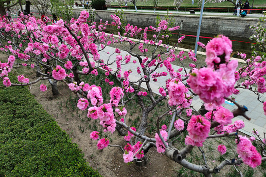 北京元大都城垣遺址公園