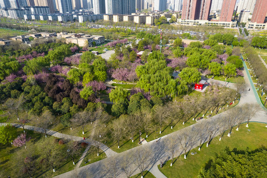 大明宮春景