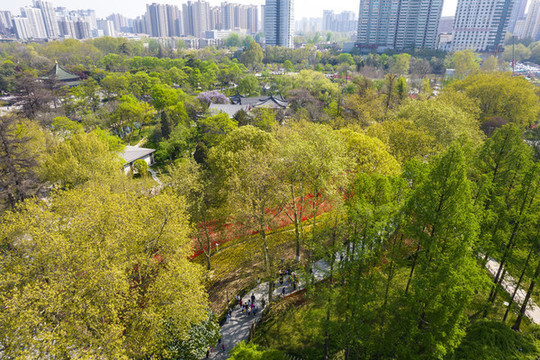 城市公園