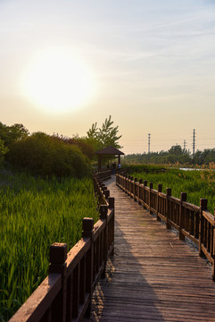 湖岸景觀休閑木棧道