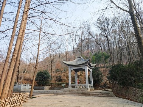 涼亭景觀