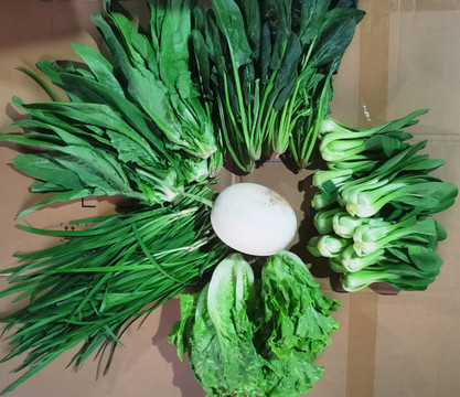 蔬菜組合