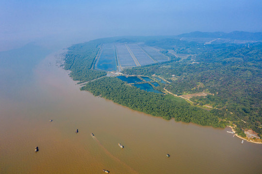 航拍廣東珠海淇澳島與淇澳大橋