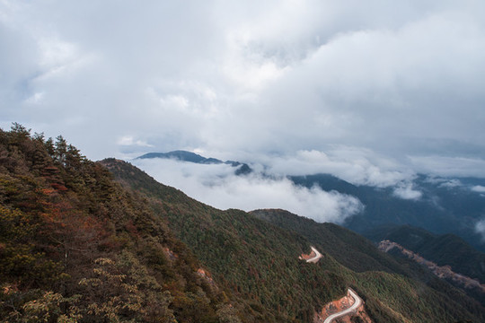 金雞山山峰云海