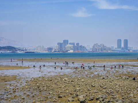青島唐島灣國(guó)家濕地公園