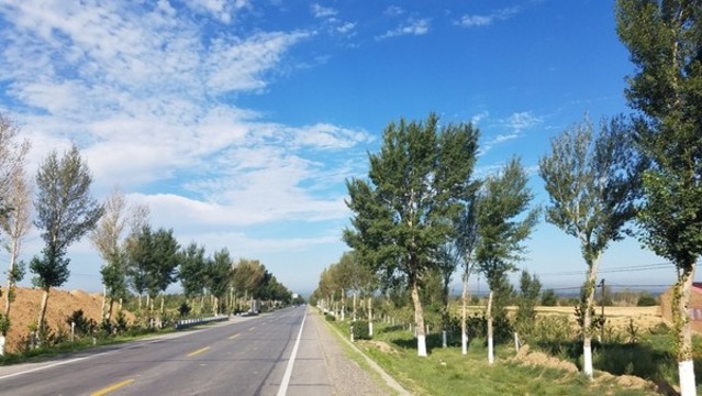 內蒙古道路