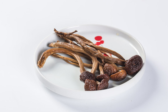 茶樹菇