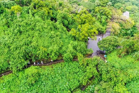 航拍海南海口火山口地質(zhì)公園