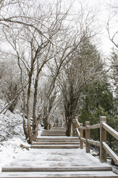 高原雪景