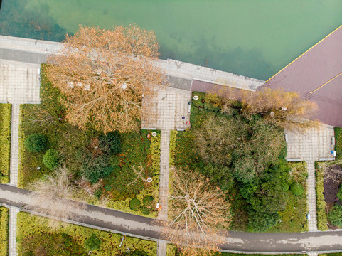 航拍霧靄中南京玄武湖公園