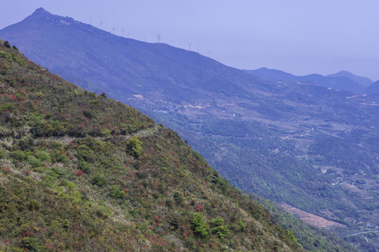 瑞安市山峰山地