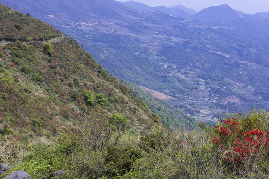 瑞安市山峰山地