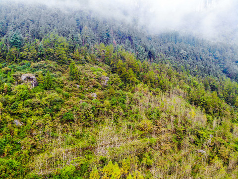 航拍湖北恩施大峽谷云龍地縫