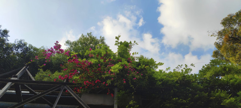 公園小景