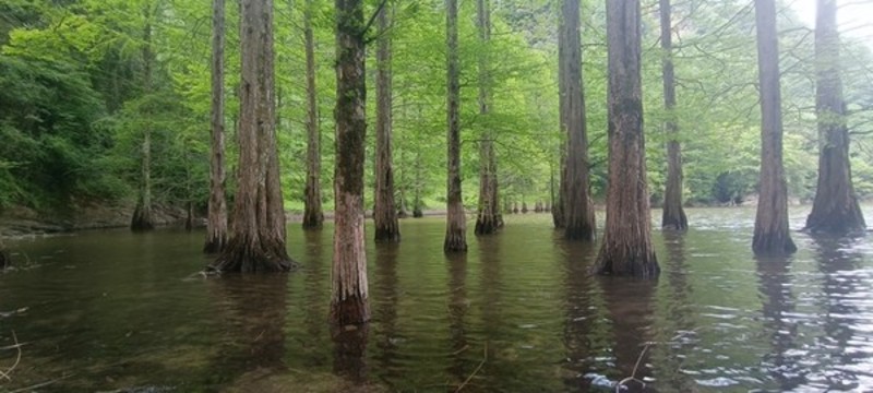 漢中南鄭龍池風景區(qū)