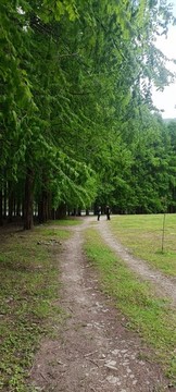 漢中南鄭龍池風(fēng)景區(qū)