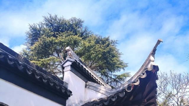 如皋水繪園園林飛檐
