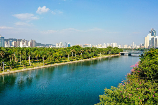 航拍福建廈門筼筜湖白鷺洲公園
