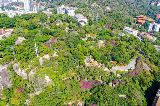 航拍福建廈門鴻山公園與鴻山寺