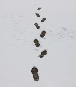 雪地腳印