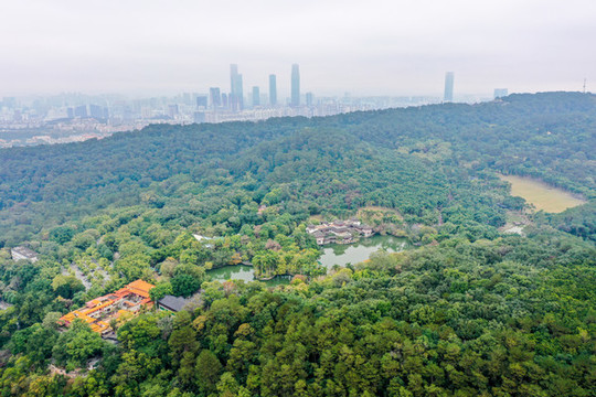 航拍廣西南寧青秀山風(fēng)景區(qū)天池