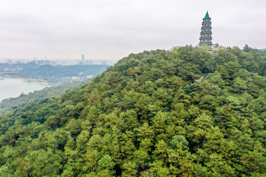 航拍廣西南寧青秀山龍象塔