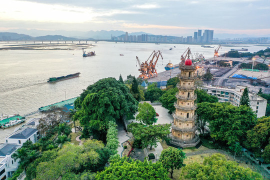 航拍福建福州羅星塔公園