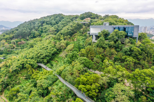 航拍福州城市森林步道福州福道