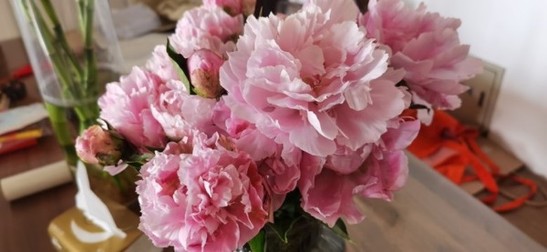 重瓣芍藥