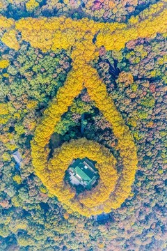 航拍南京鐘山風(fēng)景名勝區(qū)美齡宮