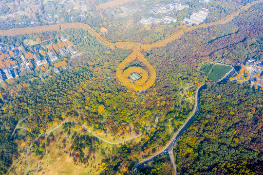 航拍南京鐘山風(fēng)景名勝區(qū)美齡宮