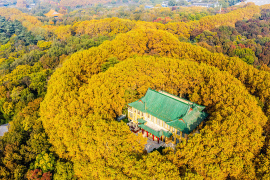 航拍南京鐘山風(fēng)景名勝區(qū)美齡宮