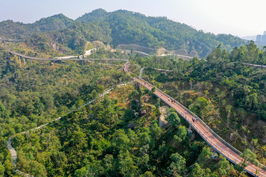 航拍珠海香山湖公園香山云道
