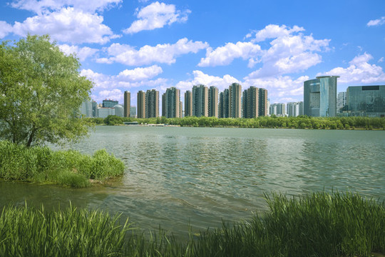 沈陽五里河畔