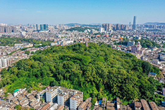 航拍廣東中山中山公園